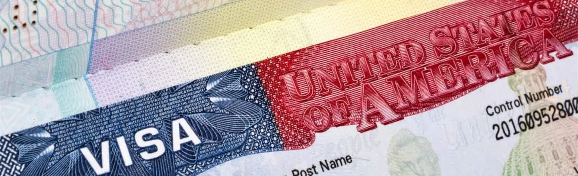 Fictional Visa Banner
